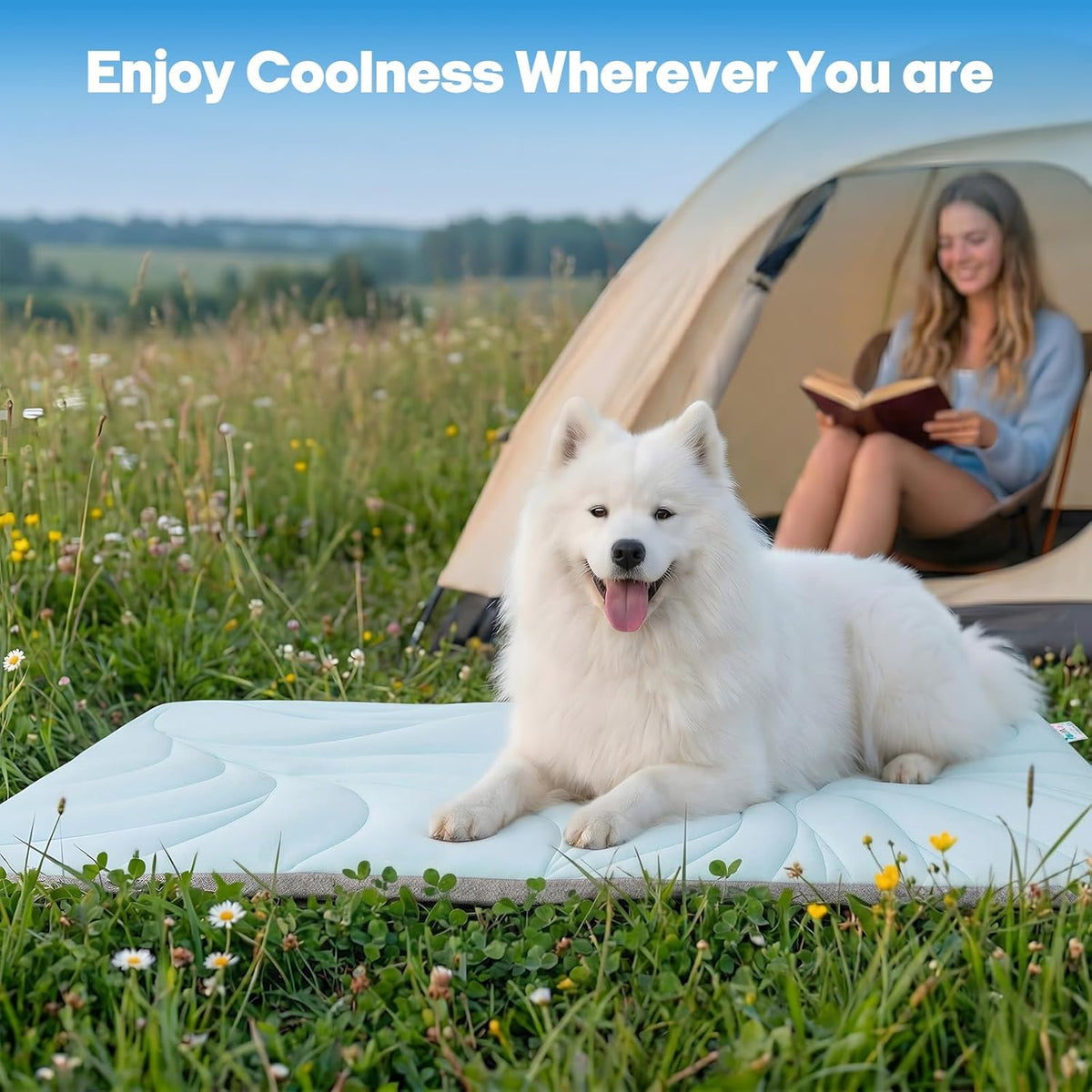 Ultimate Dog Cooling Mat 5.0 with Built-In Ice Pack – Stay Cool for Hours!